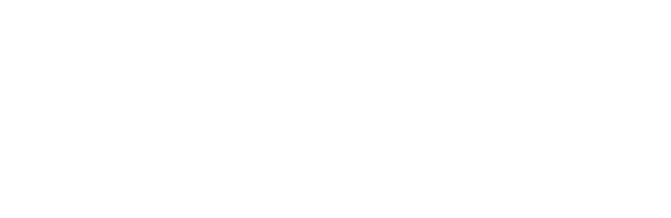 SVO Information Technology
